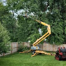 Best Lot and Land Clearing  in Okauchee Lake, WI