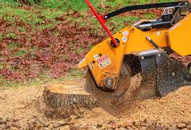 Best Tree Maintenance Programs  in Okauchee Lake, WI