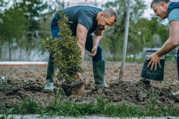 Soil Testing and Treatment in Okauchee Lake, WI